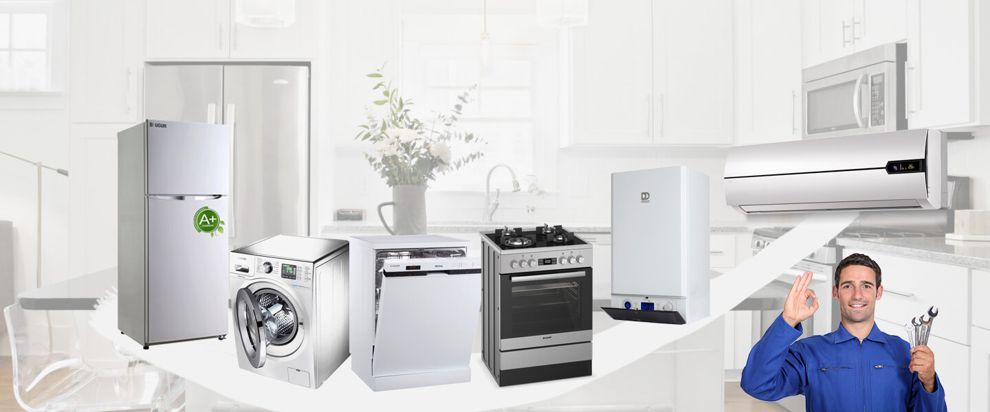 Gülyalı Smeg Servisi